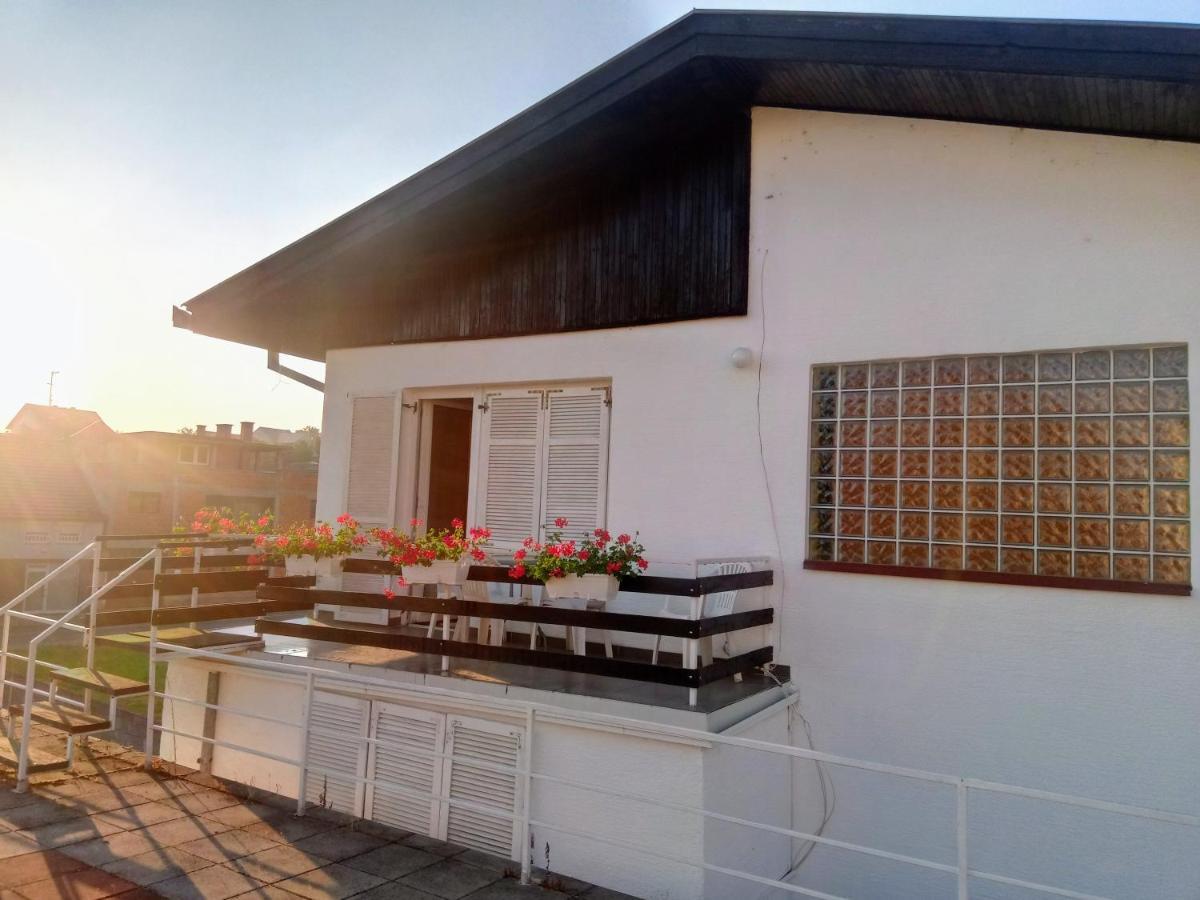 Accommodation Zara Vukovar Exteriér fotografie