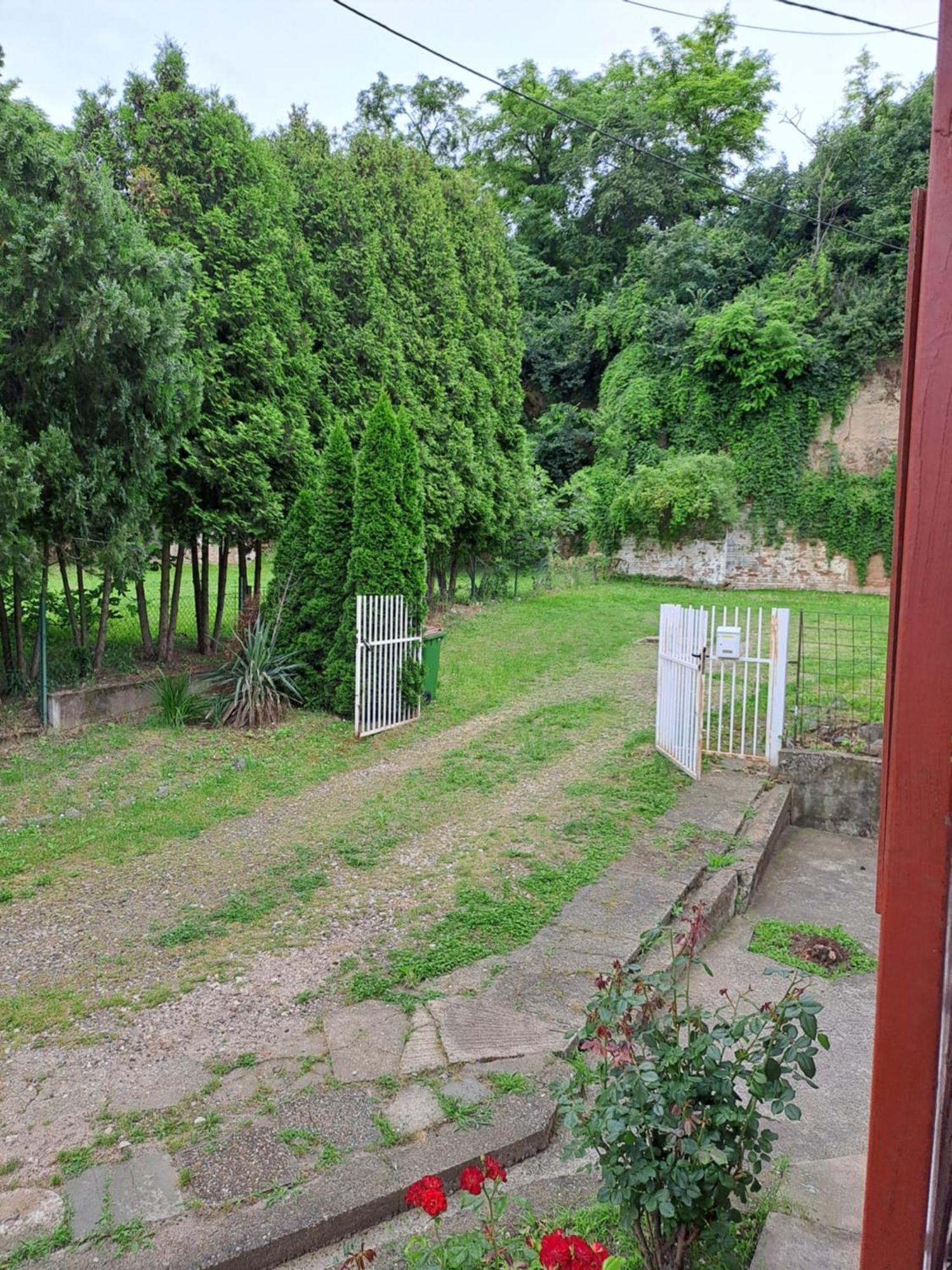 Accommodation Zara Vukovar Exteriér fotografie